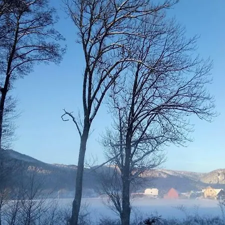 Evasion Nature